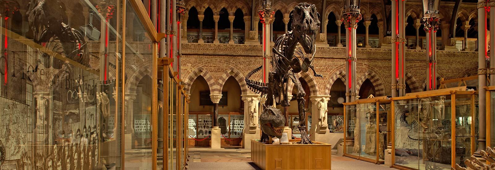Interior of Natural History Museum at night