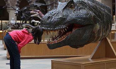 Natural History Museum